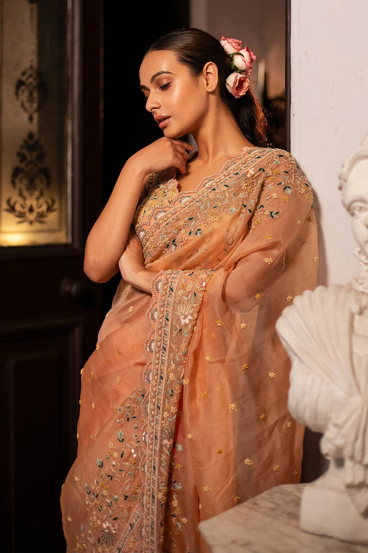 Peach Silk Organza Saree - "Gulbagh"